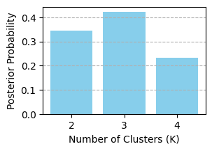 Posterior K Distribution